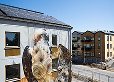 Exteriörbild från Taggsvampsvägen på fasad med muralmålning föreställande rovfågel