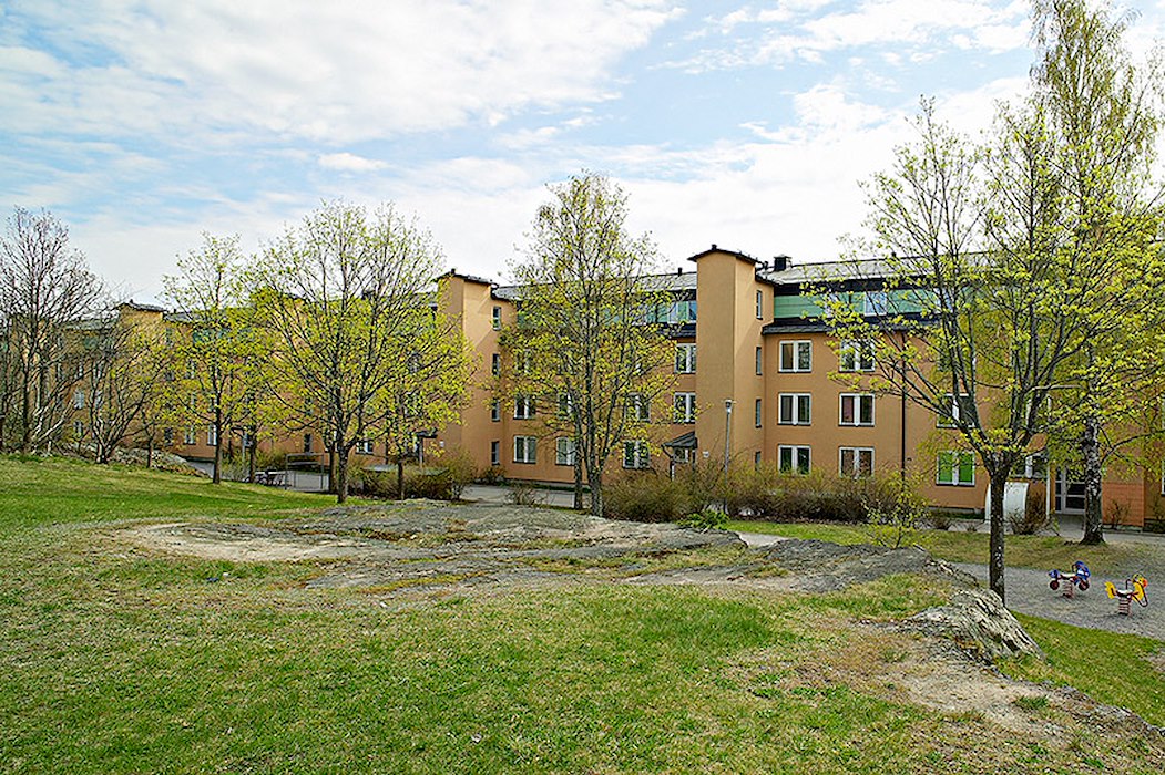 463-1.jpg