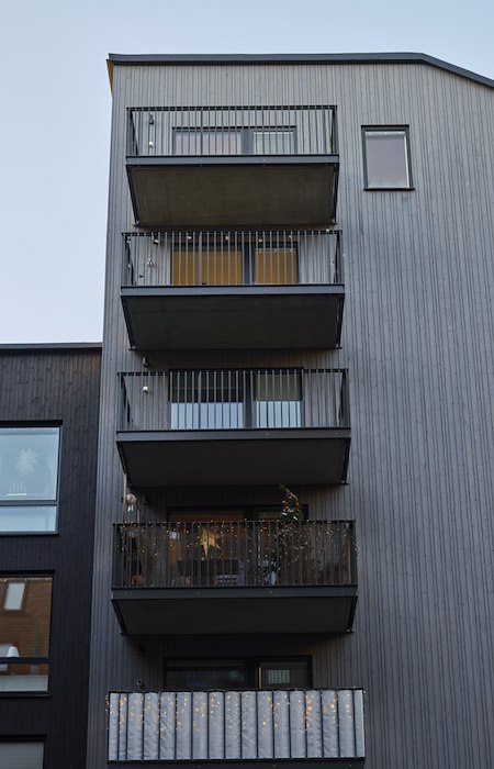 gråalen