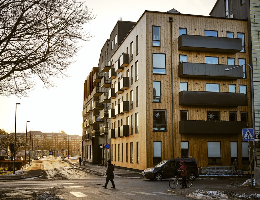 gråalen