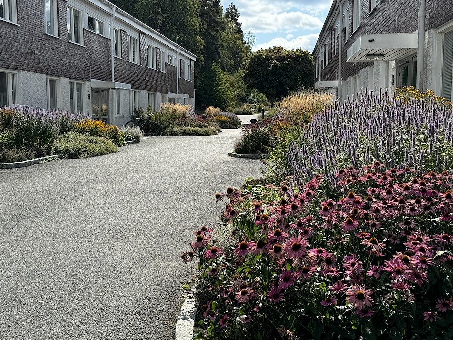 Området